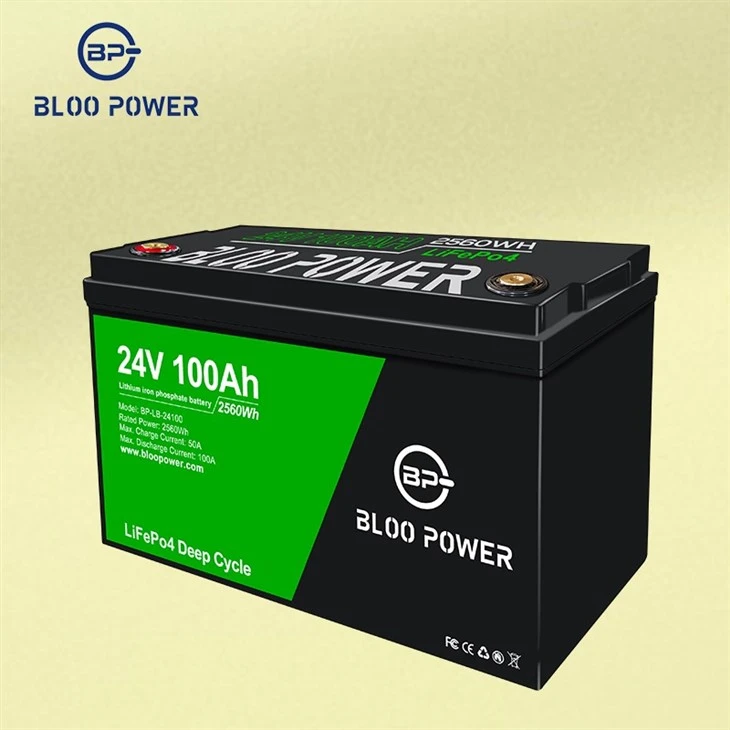 Built-in lithium iron phosphate battery